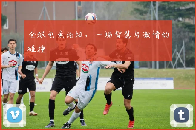 全球电竞论坛,一场智慧与激情的碰撞