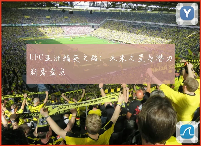 UFC亚洲精英之路:未来之星与潜力新秀盘点