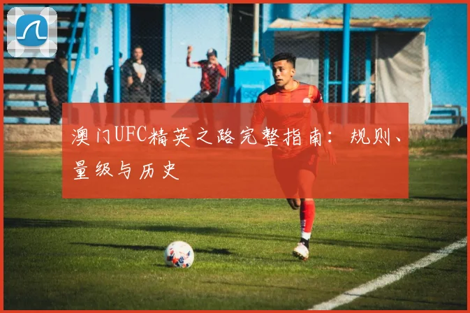 澳门UFC精英之路完整指南:规则、量级与历史