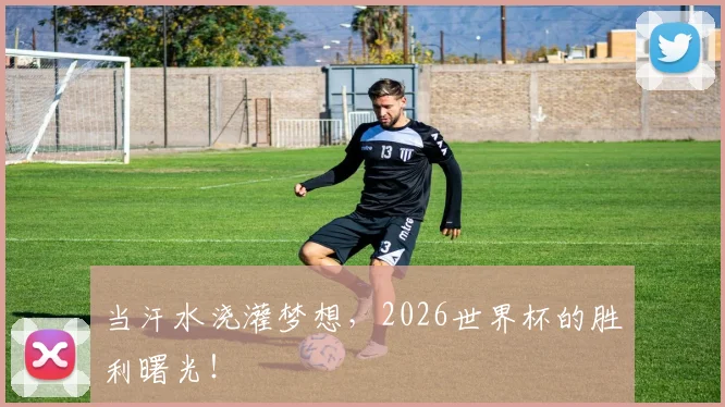 当汗水浇灌梦想,2026世界杯的胜利曙光!