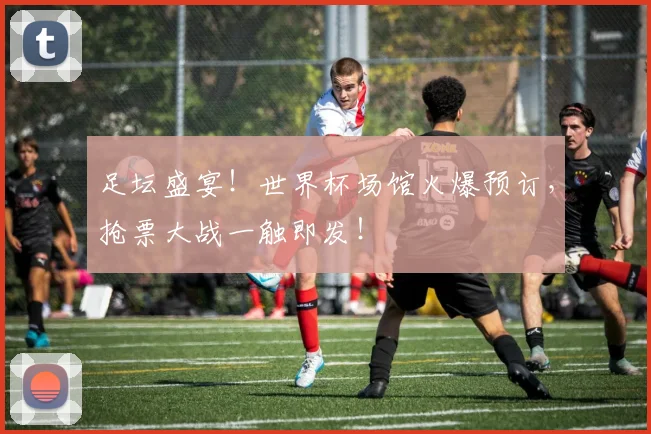 足坛盛宴!世界杯场馆火爆预订,抢票大战一触即发!